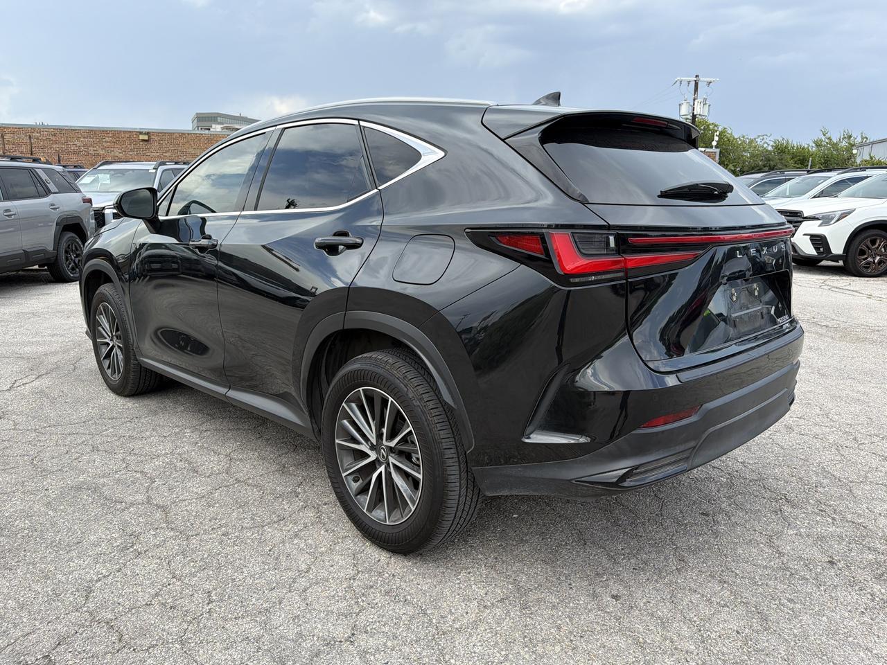 2024 Lexus NX 350 Luxury San Antonio TX