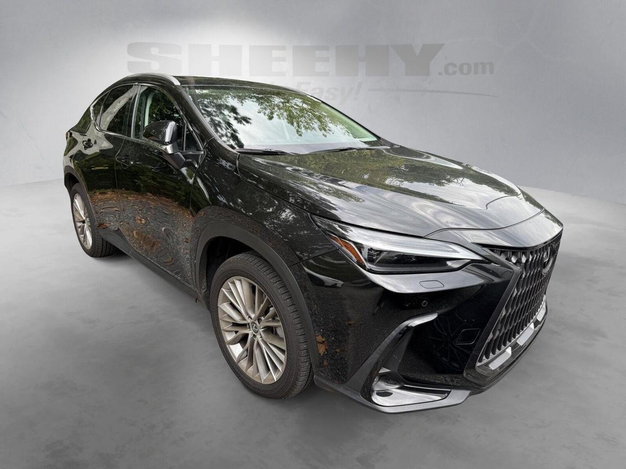 2024 Lexus NX 350 Luxury Annapolis MD