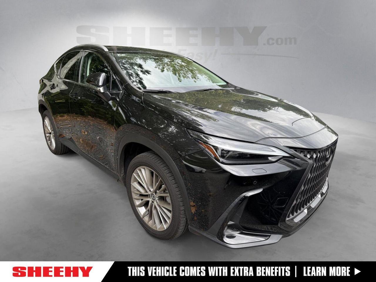 2024 Lexus NX