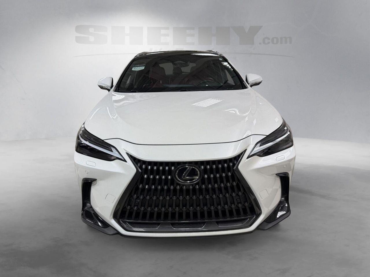 2024 Lexus NX 350 Luxury Annapolis MD