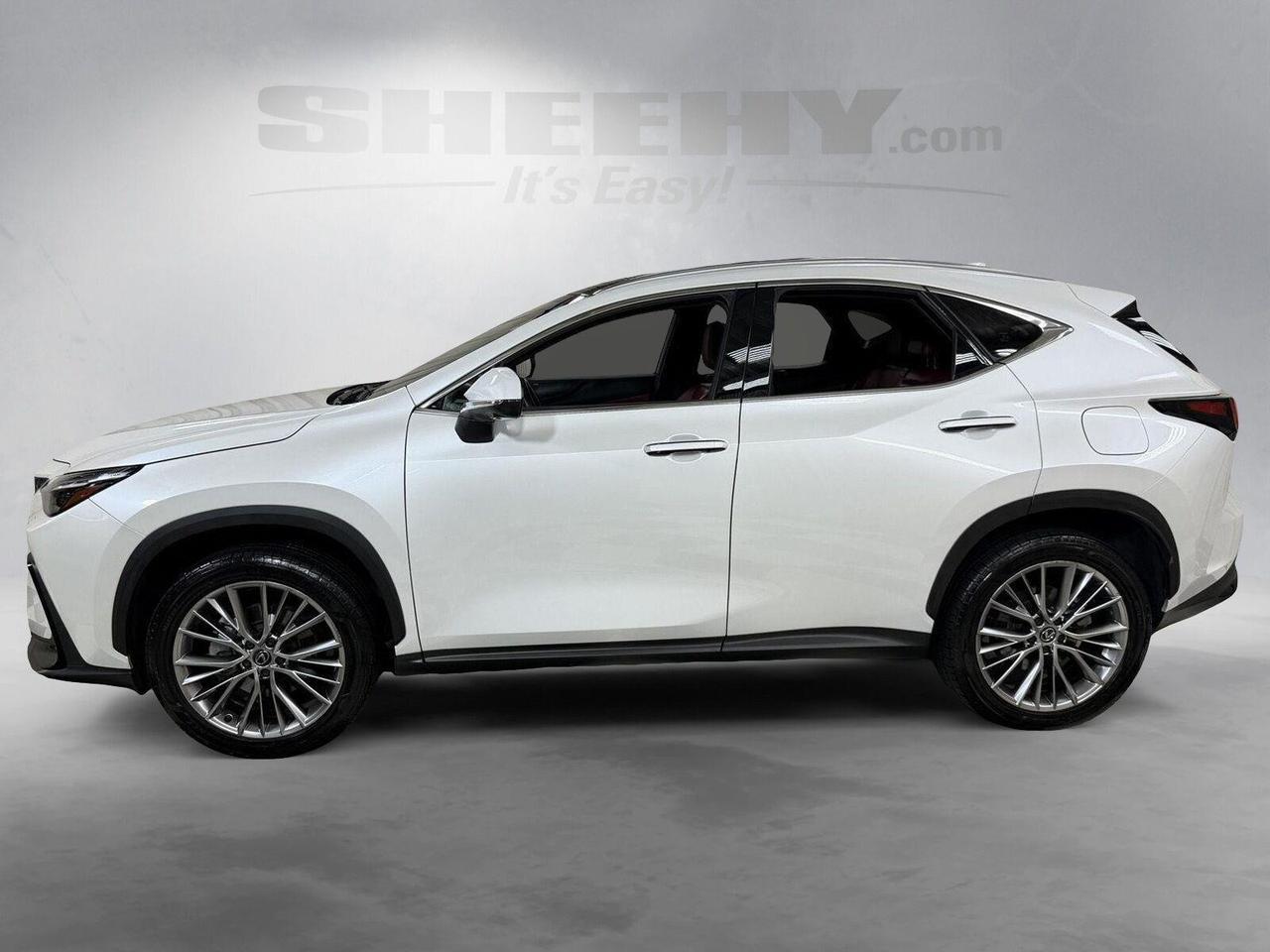 2024 Lexus NX 350 Luxury Annapolis MD
