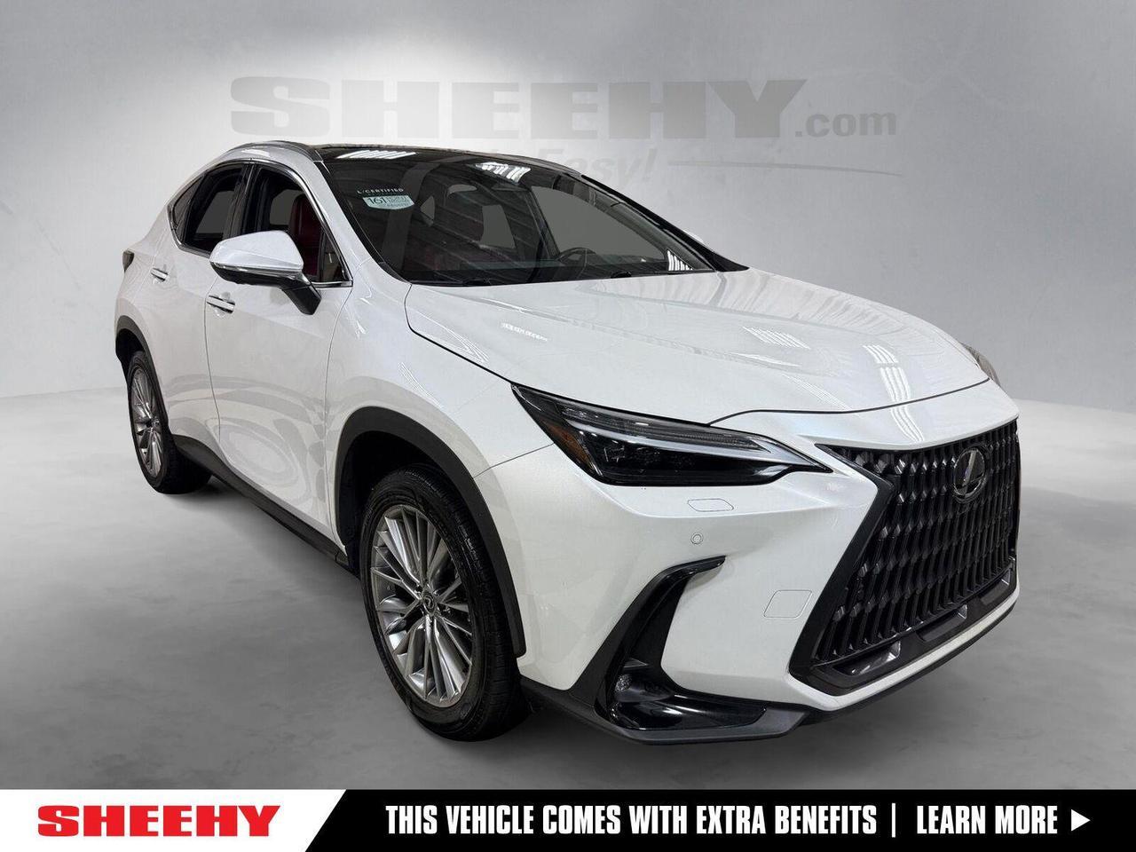2024 Lexus NX