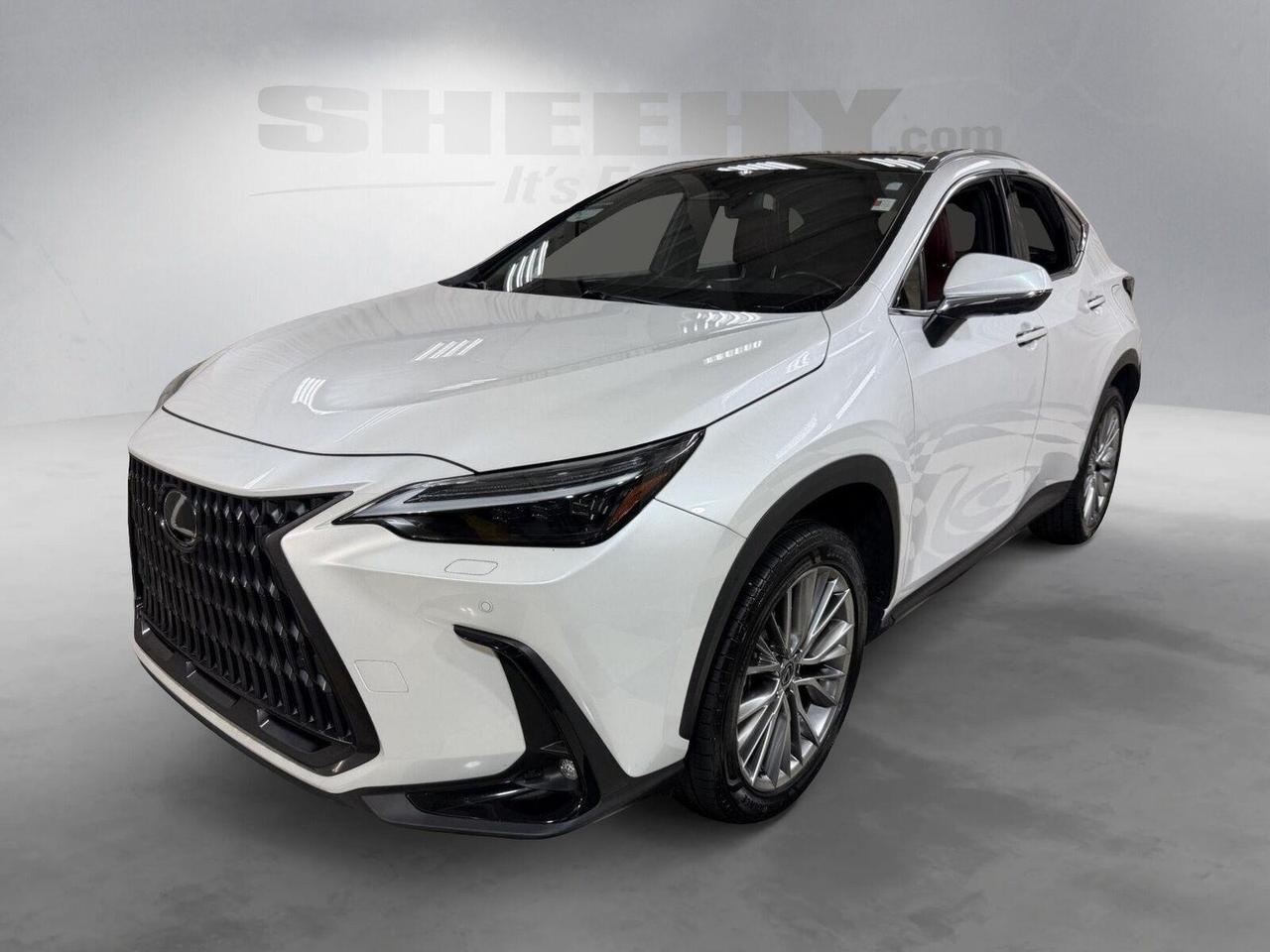 2024 Lexus NX 350 Luxury Annapolis MD