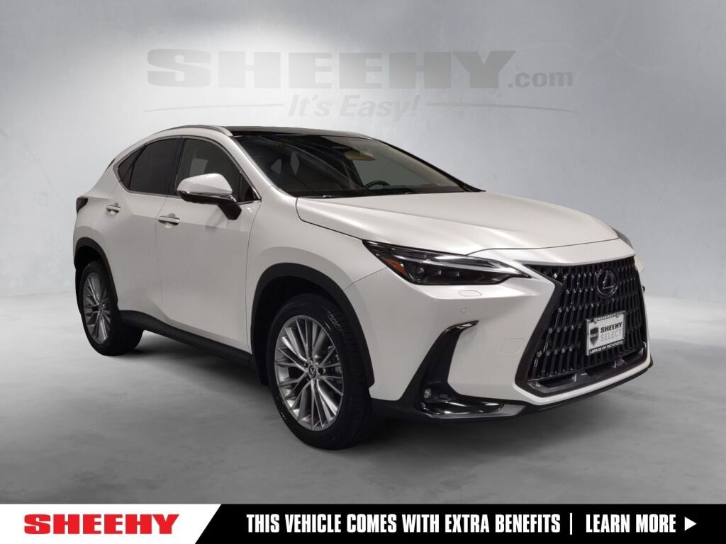 2024 Lexus NX