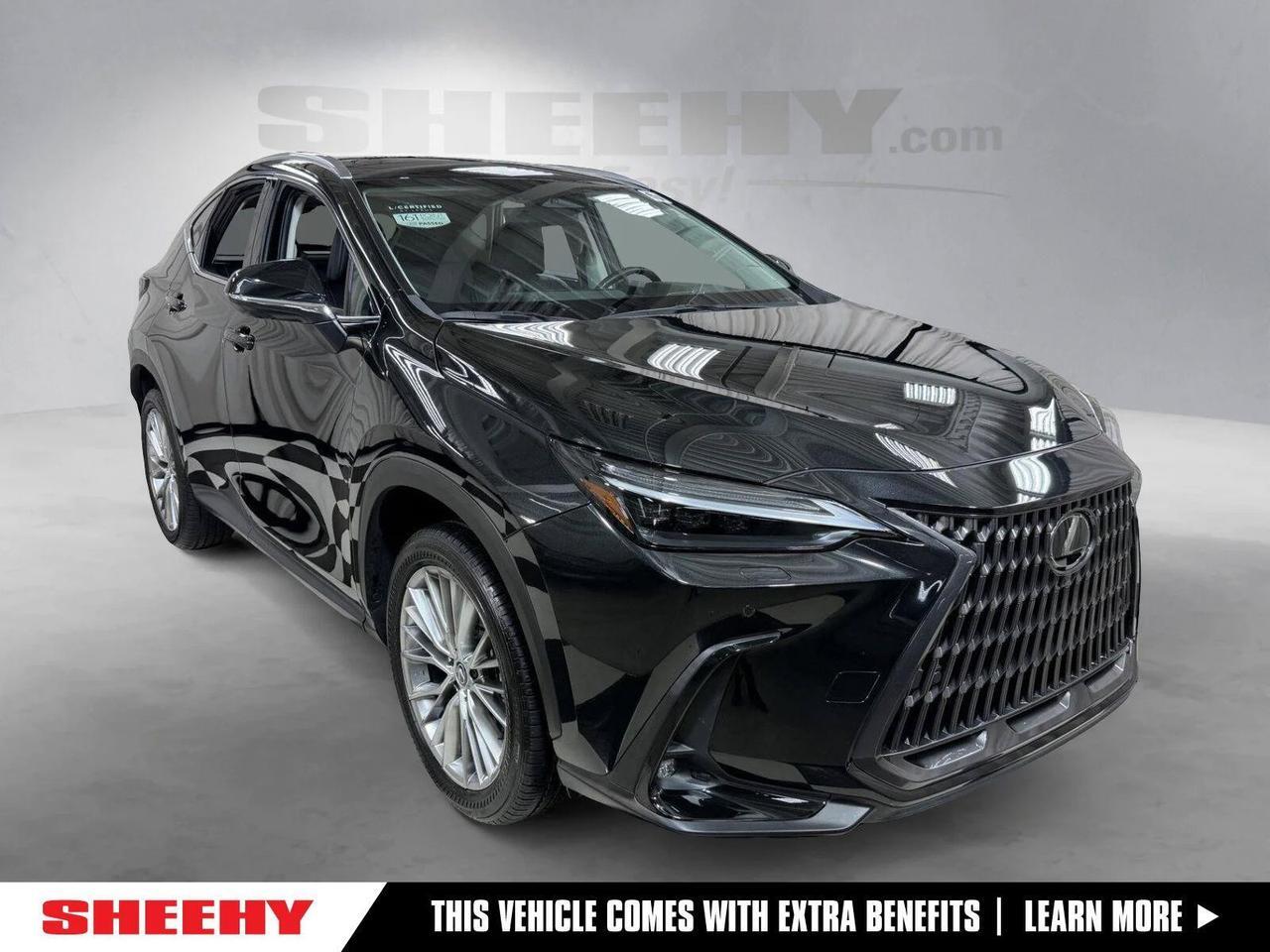 2024 Lexus NX 350 Luxury