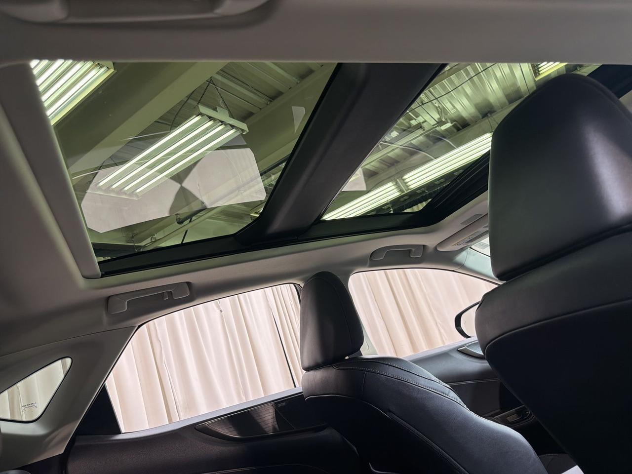 2024 Lexus NX 350 Luxury Annapolis MD