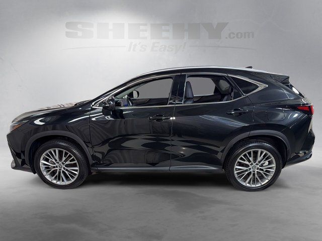 2024 Lexus NX 350 Luxury Annapolis MD