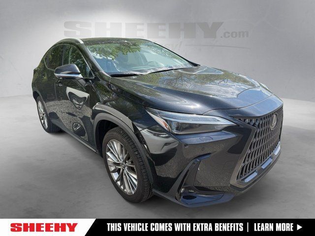 2024 Lexus NX