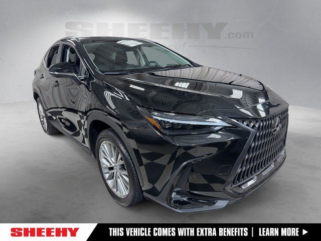 2024 Lexus NX 350 Luxury