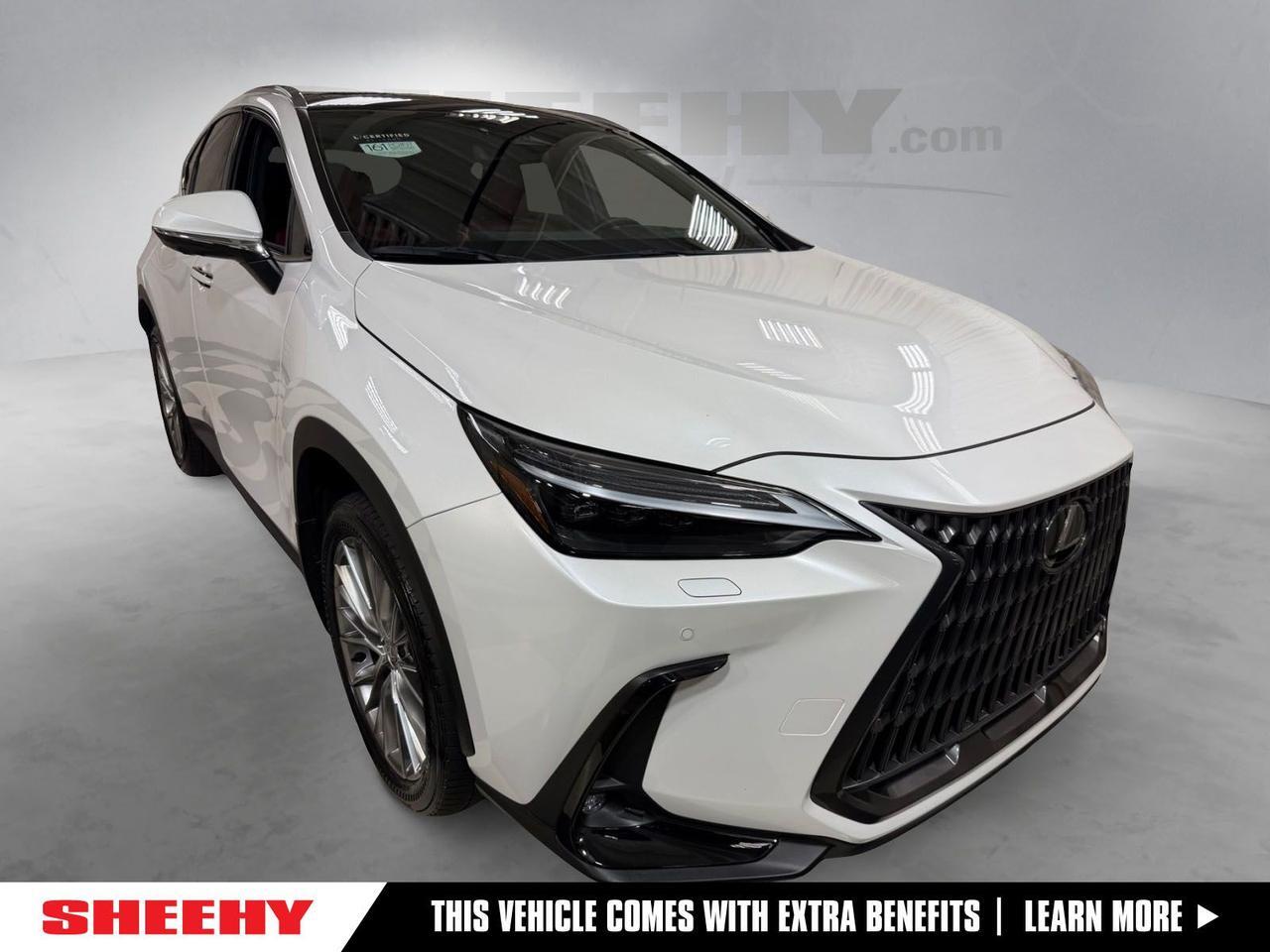 2024 Lexus NX 350 Luxury