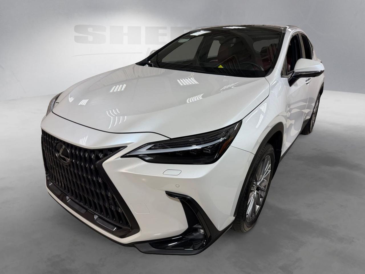 2024 Lexus NX 350 Luxury Annapolis MD