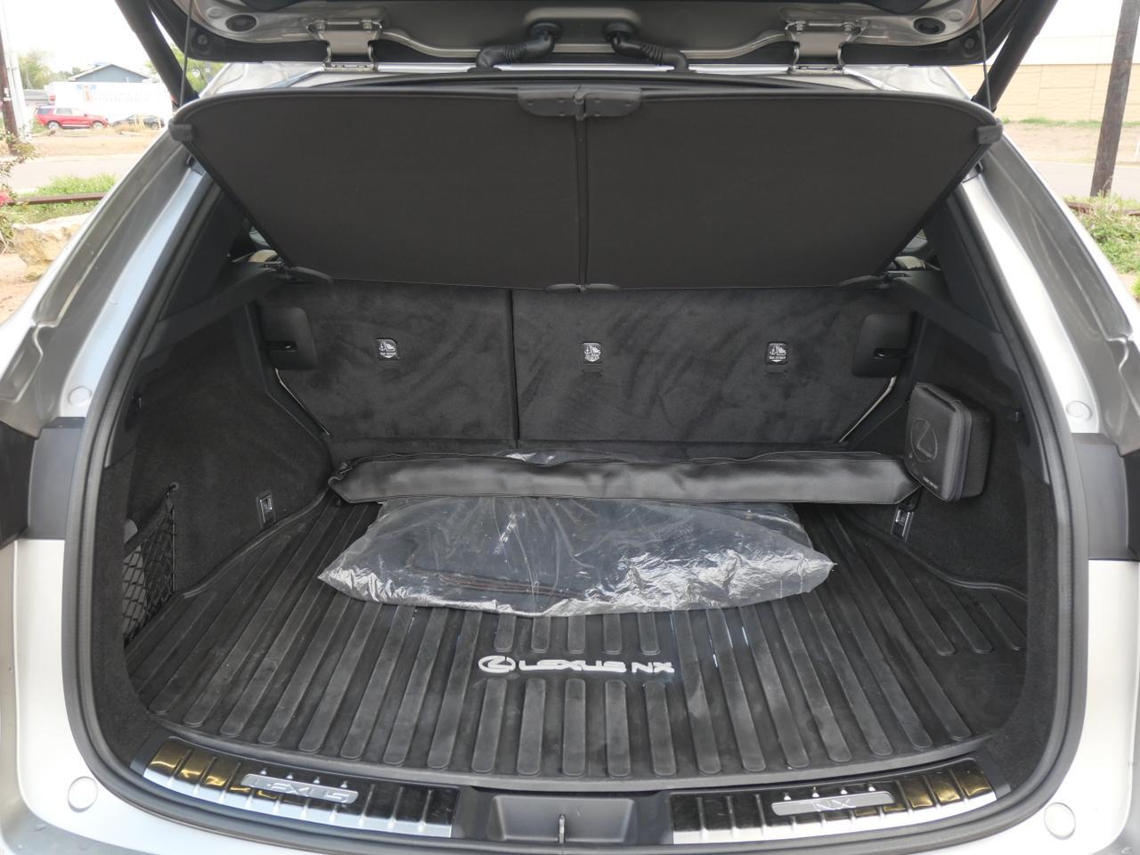 2024 Lexus NX 350 Premium San Juan TX