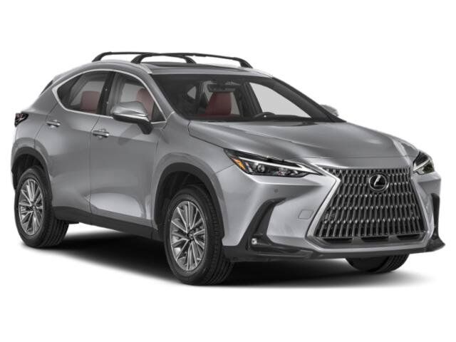 2024 Lexus NX 350 Premium San Juan TX