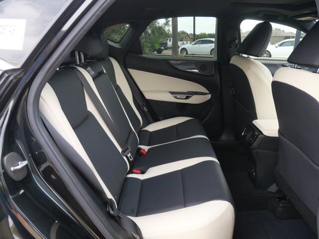 2024 Lexus NX 350 Premium San Juan TX