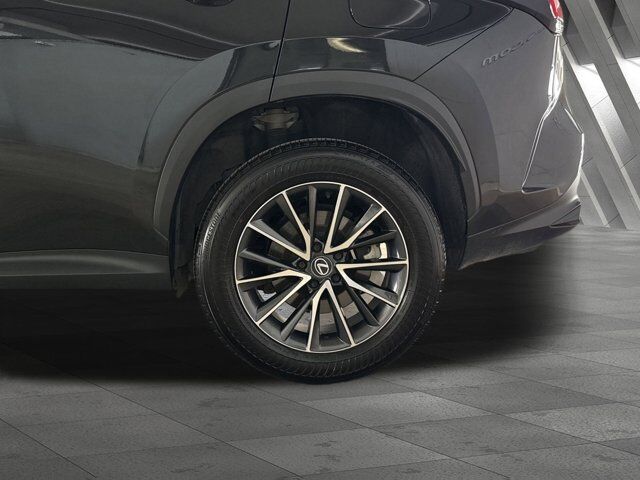 2024 Lexus NX 350 Premium San Antonio TX