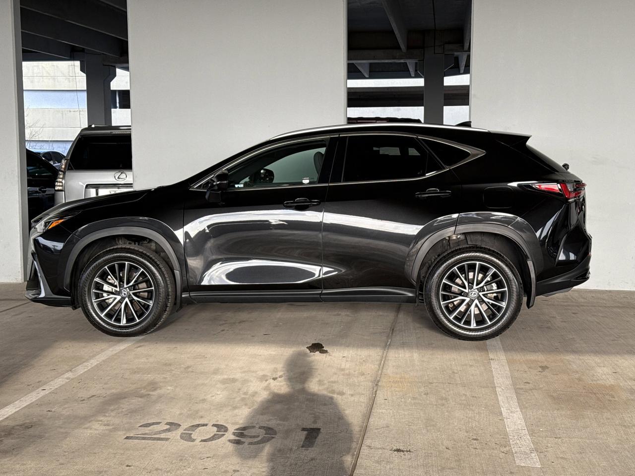 2024 Lexus NX