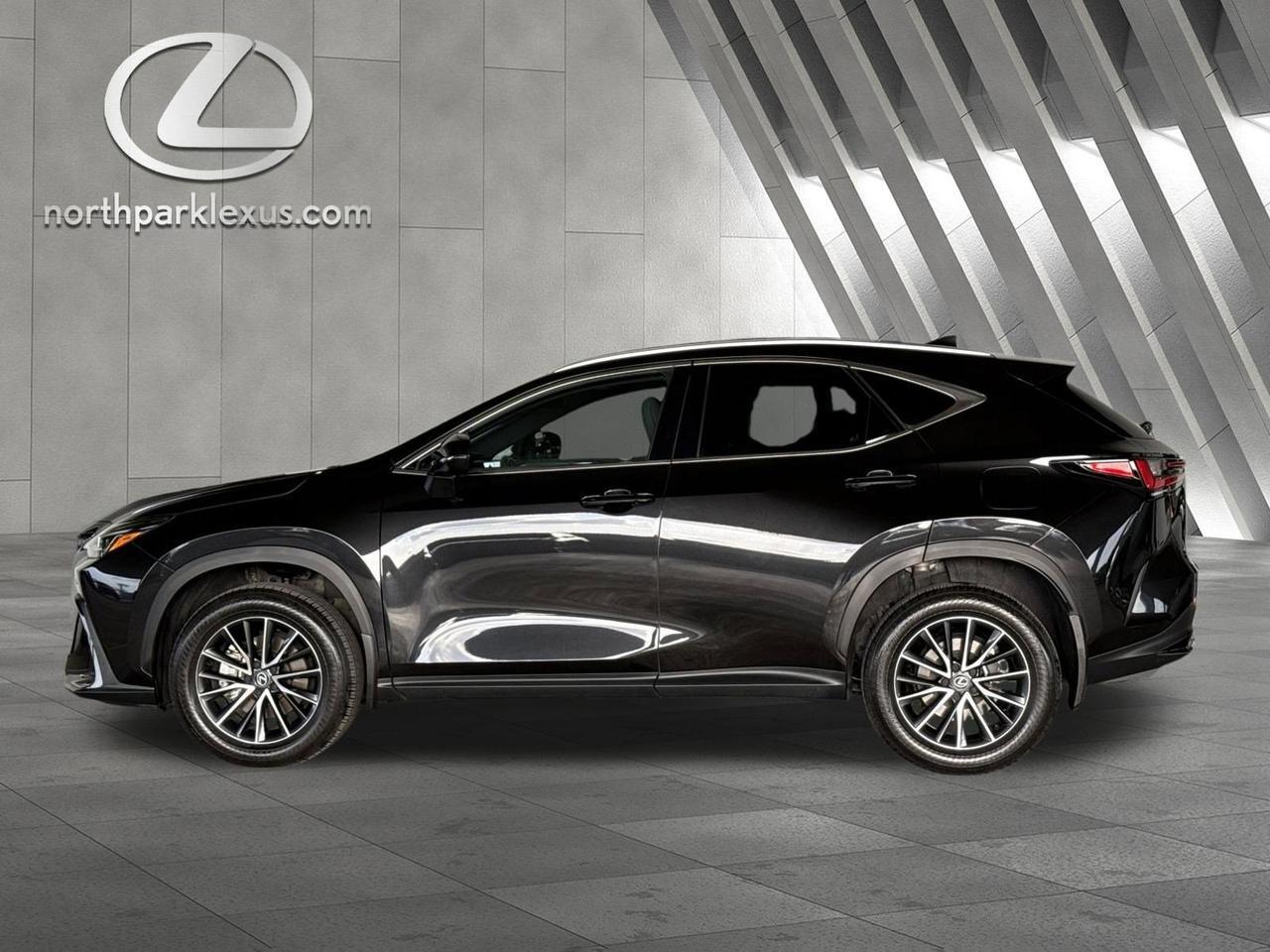 2024 Lexus NX