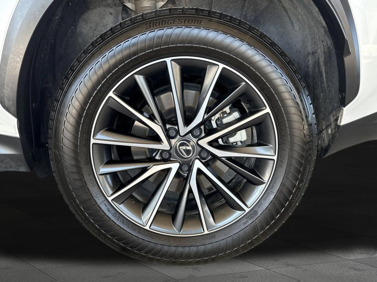 2024 Lexus NX 350 Premium San Antonio TX