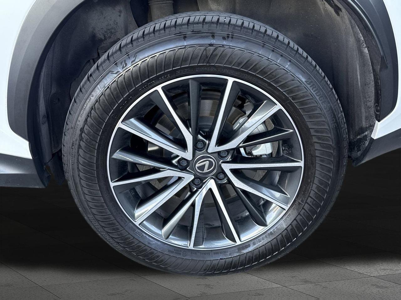 2024 Lexus NX 350 Premium San Antonio TX