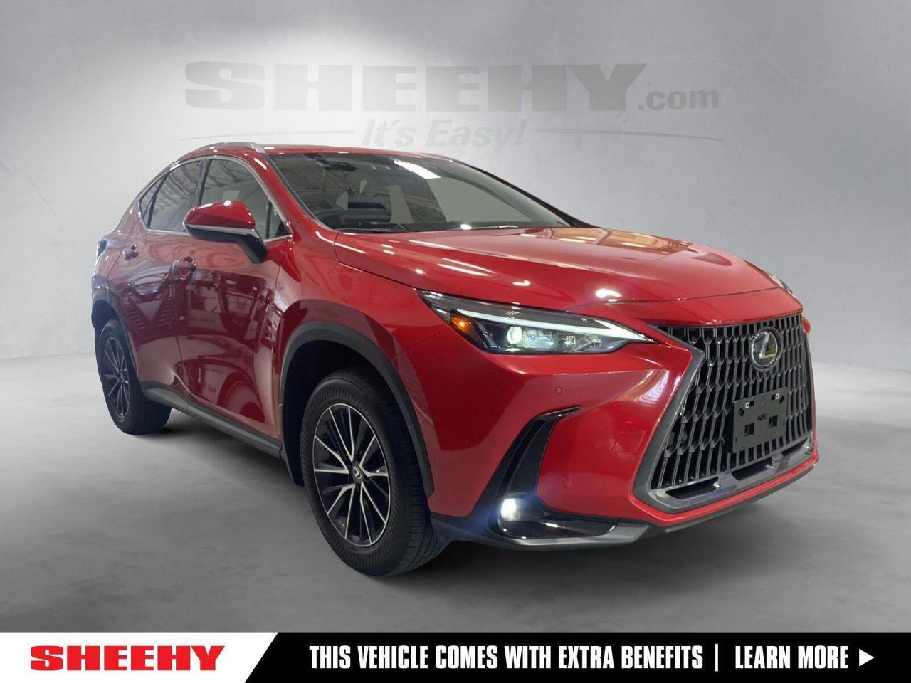2024 Lexus NX