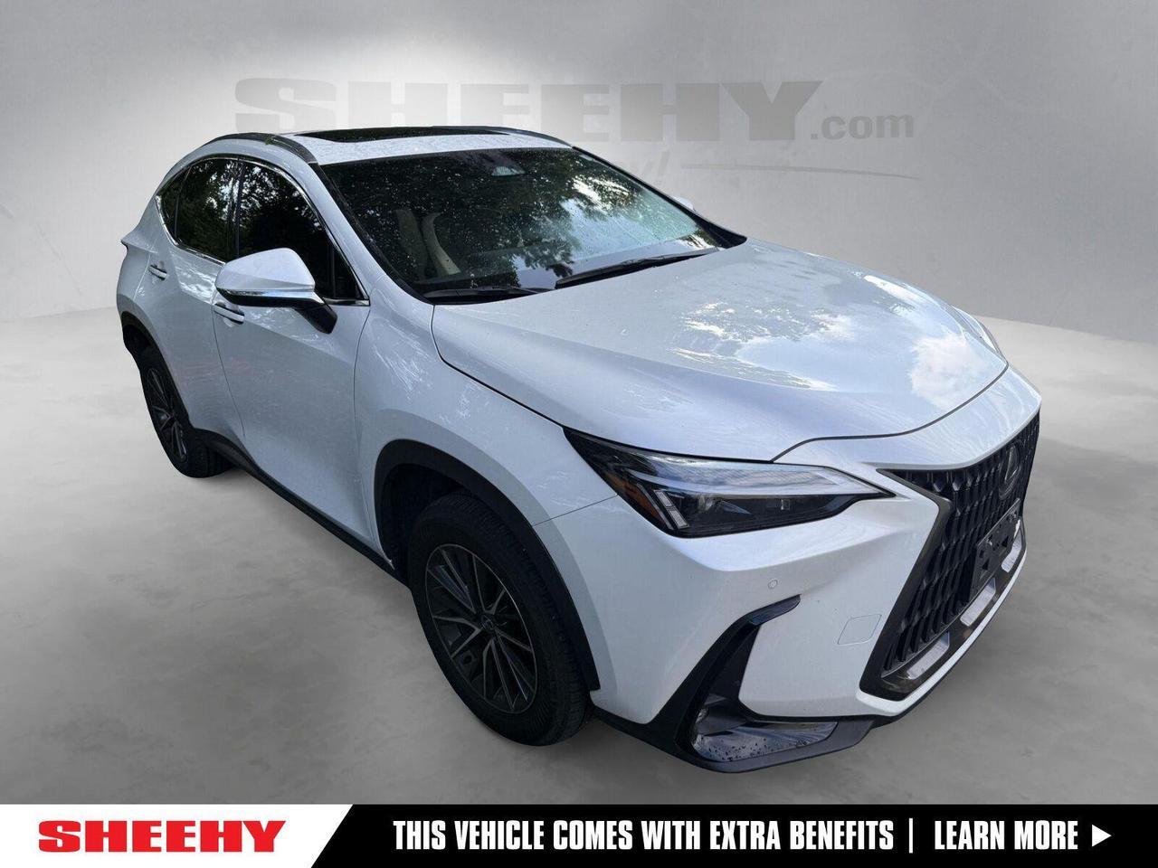 2024 Lexus NX 350 Premium