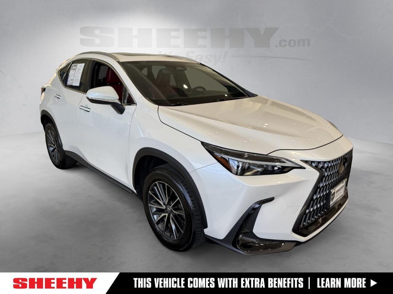 2024 Lexus NX