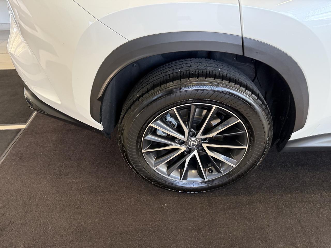 2024 Lexus NX 350 Premium Annapolis MD