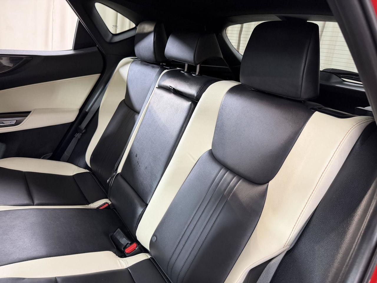 2024 Lexus NX 350 Premium Annapolis MD