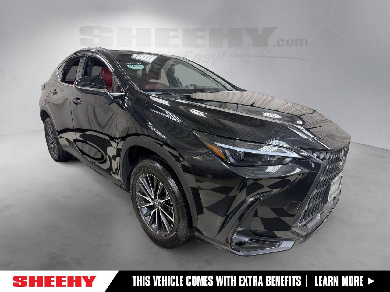 2024 Lexus NX 350 Premium