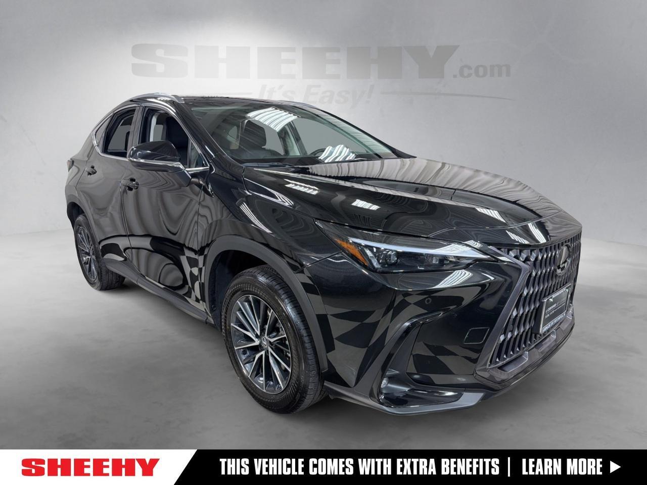2024 Lexus NX