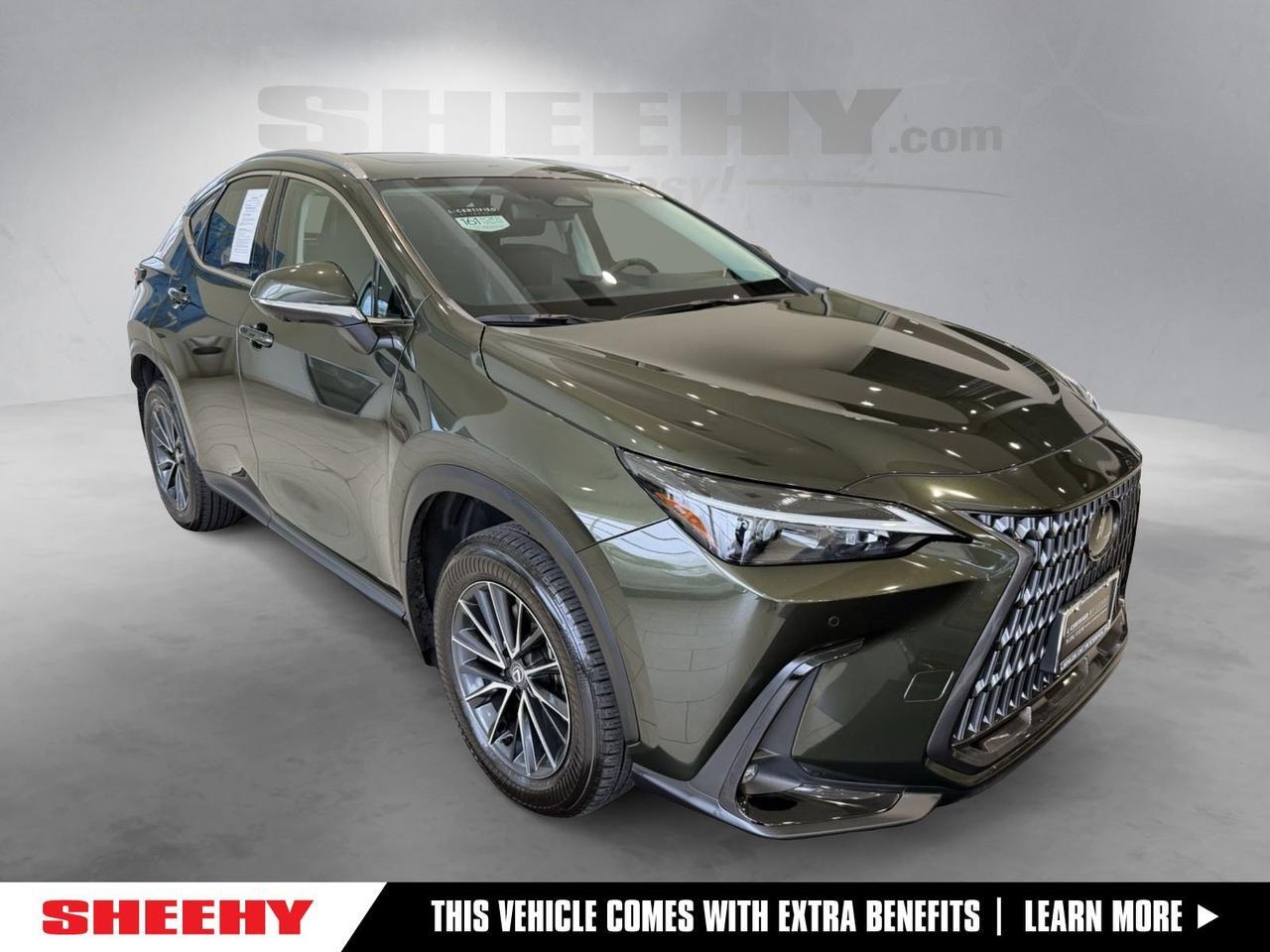 2024 Lexus NX