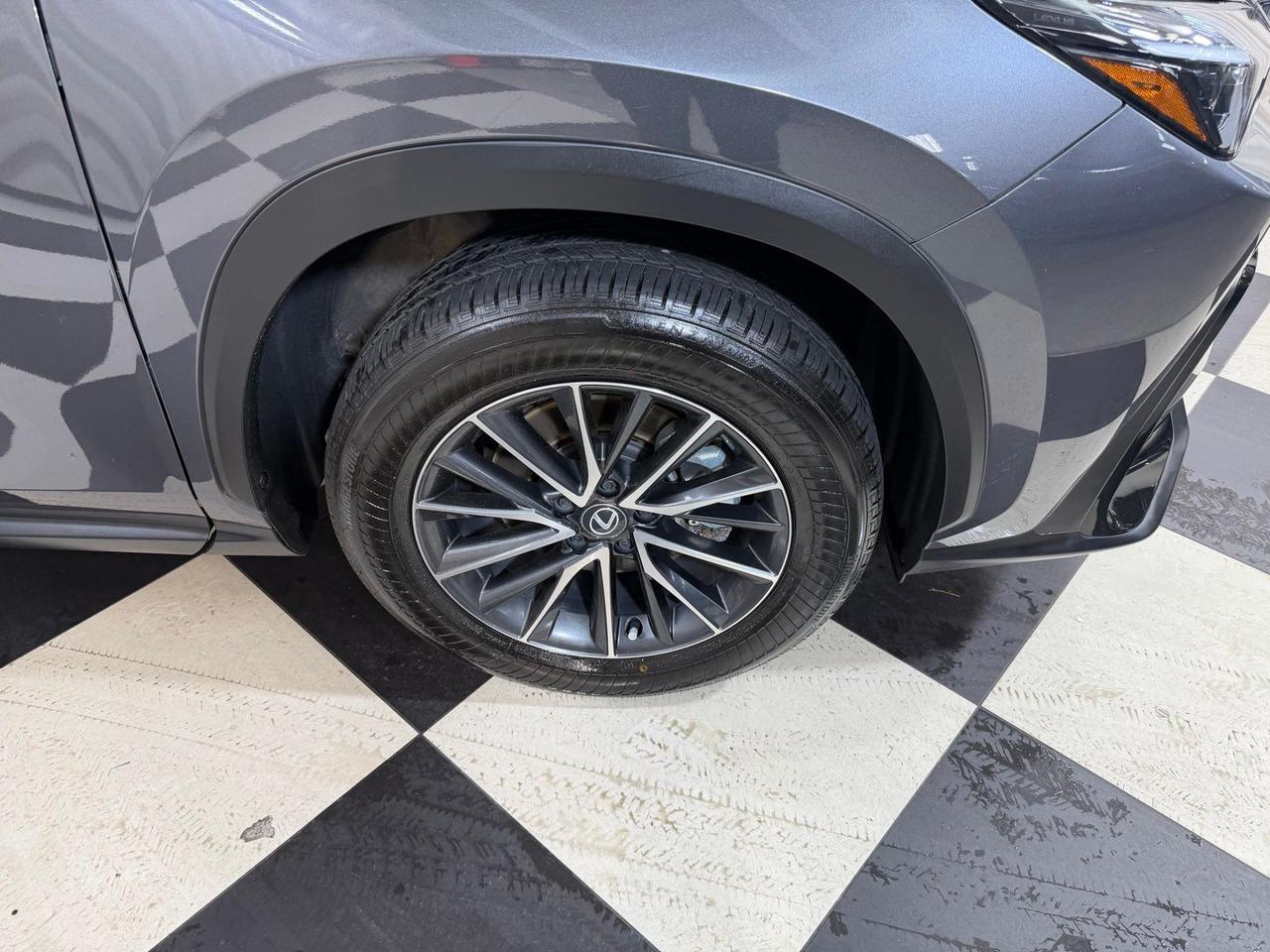 2024 Lexus NX 350 Premium Annapolis MD