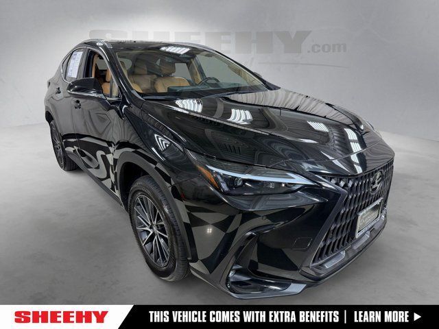 2024 Lexus NX