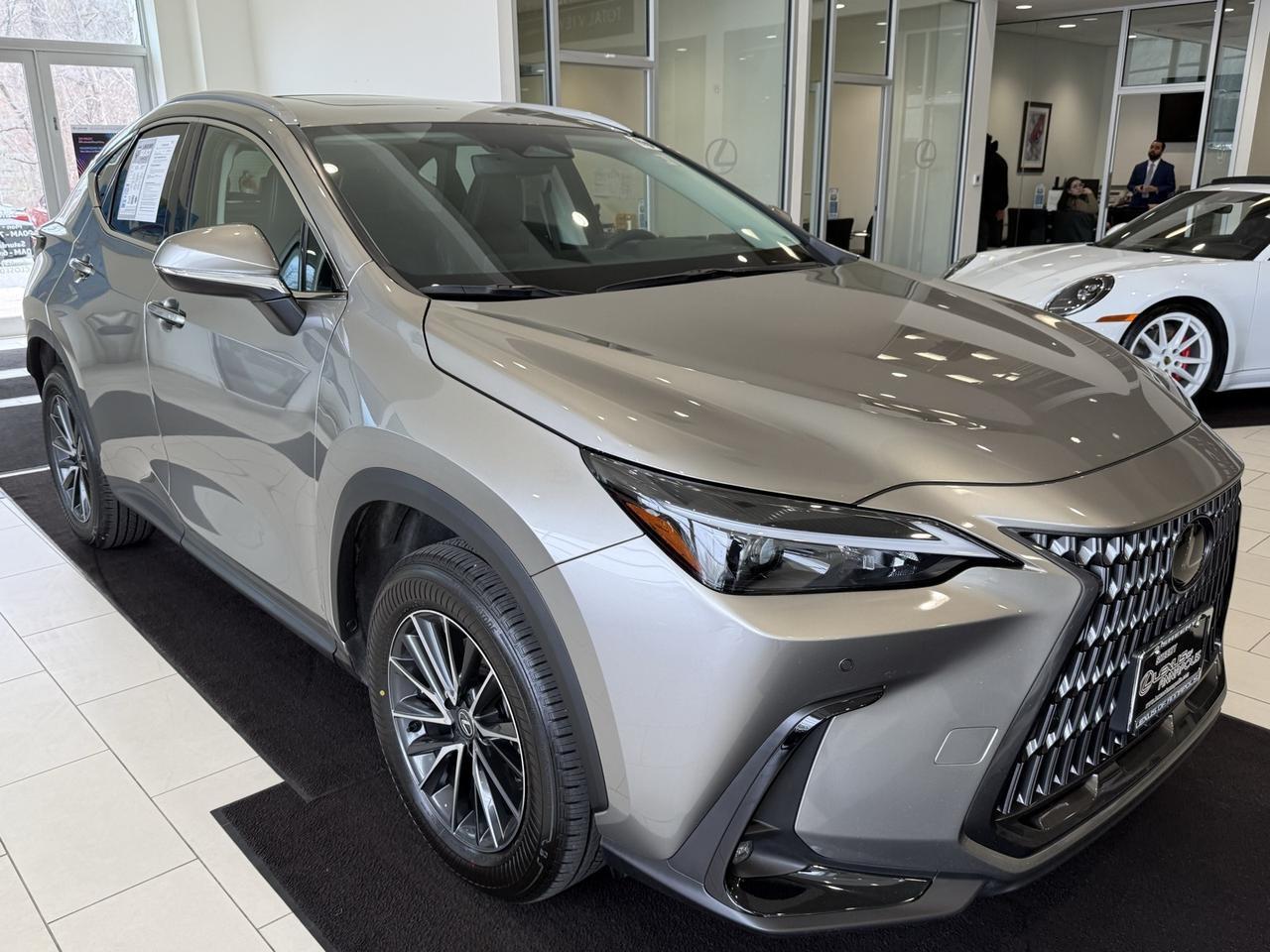 2024 Lexus NX