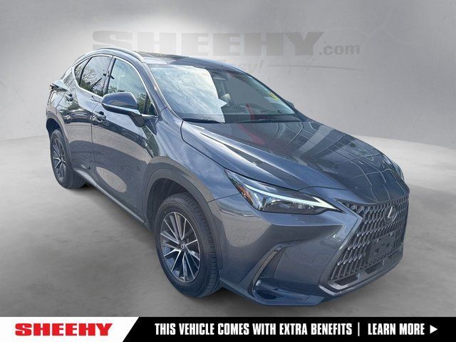 2024 Lexus NX 350 Premium