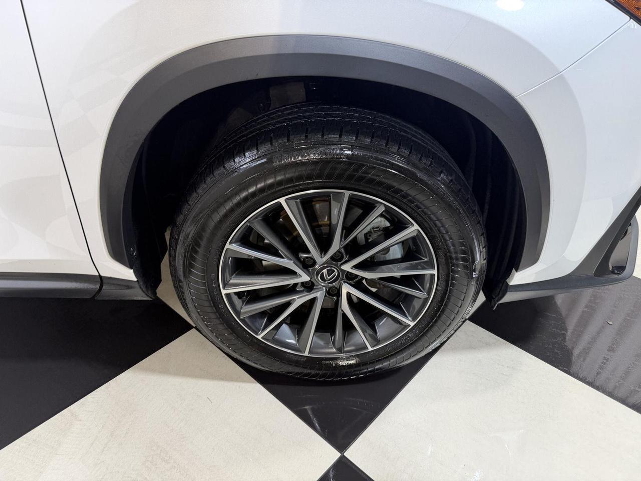 2024 Lexus NX 350 Annapolis MD