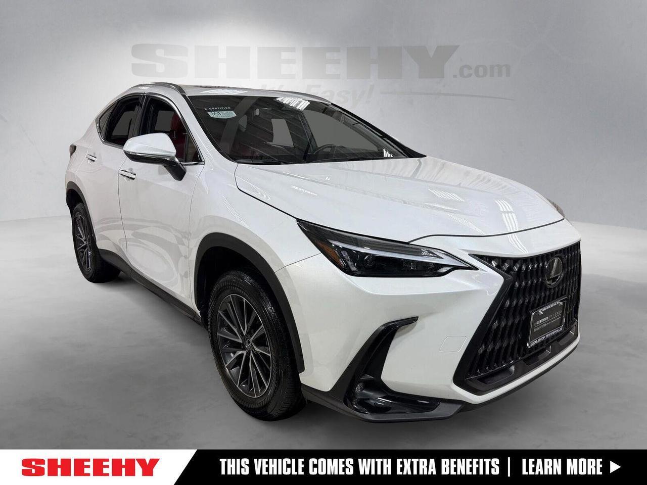 2024 Lexus NX