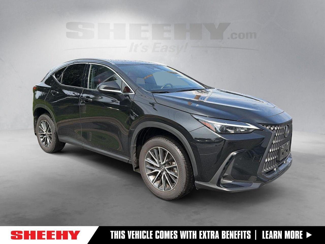 2024 Lexus NX