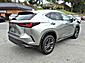 2024 Lexus NX 350h . Roanoke VA