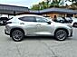2024 Lexus NX 350h . Roanoke VA