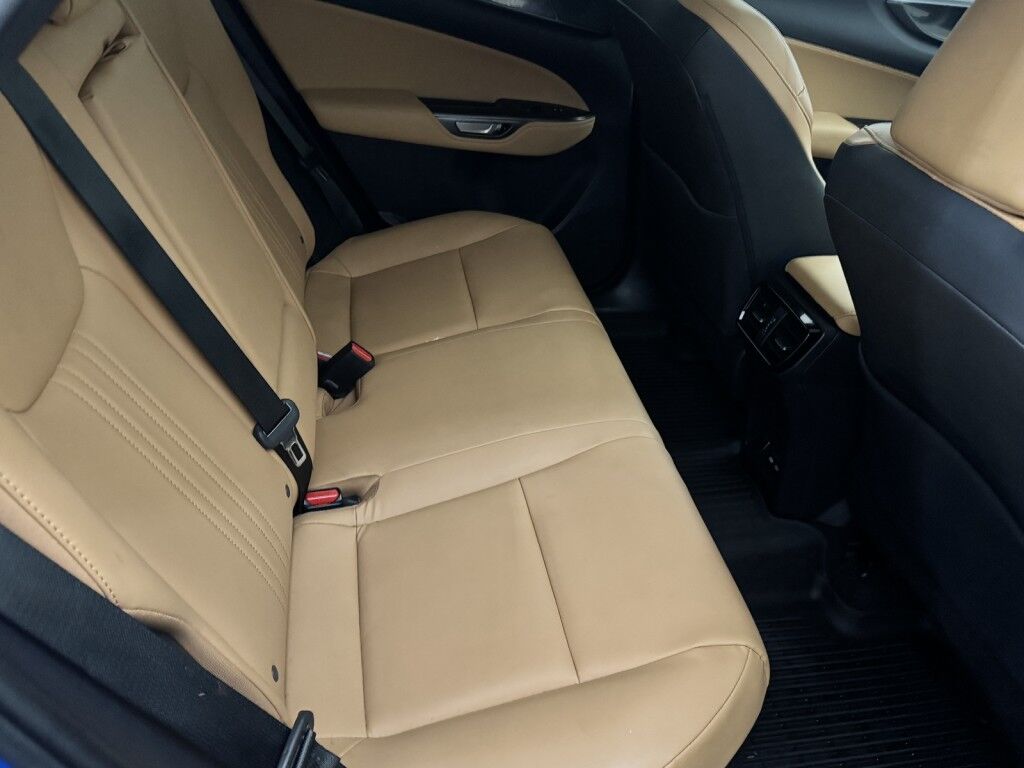 2024 Lexus NX 350h AWD Maumee OH