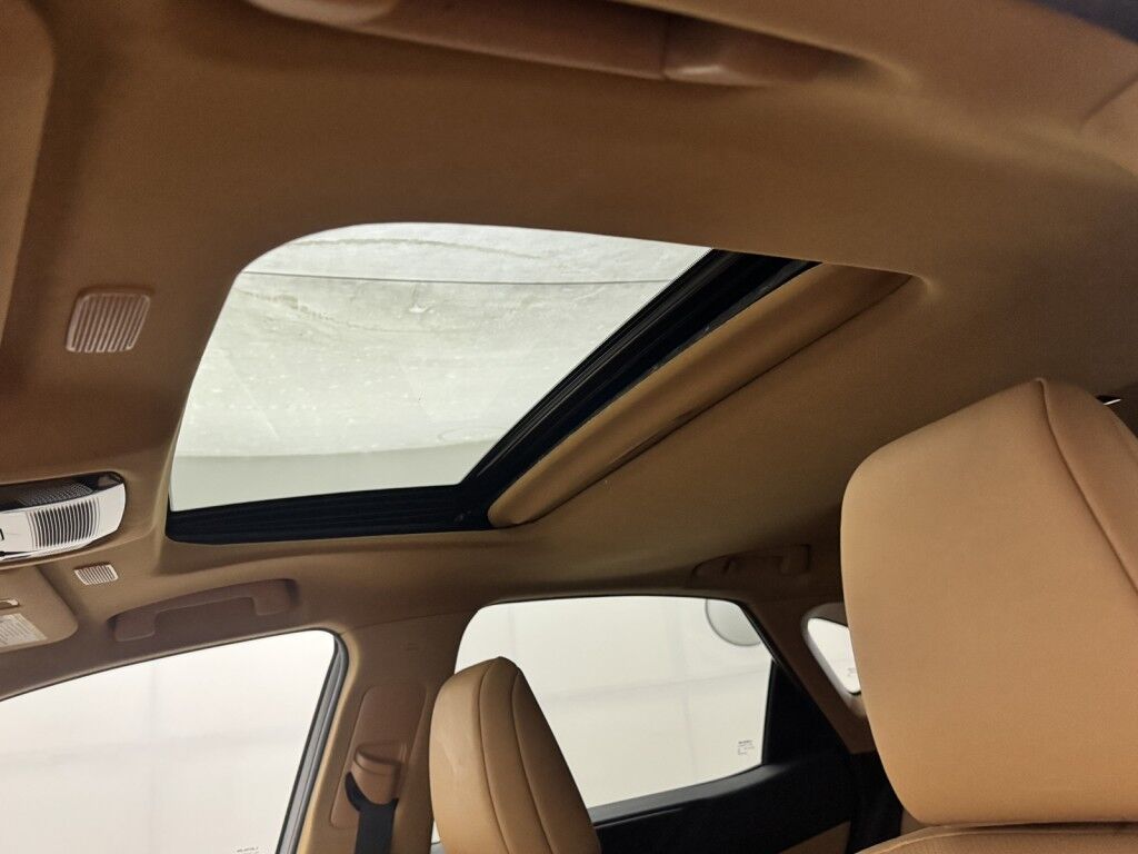 2024 Lexus NX 350h AWD Maumee OH