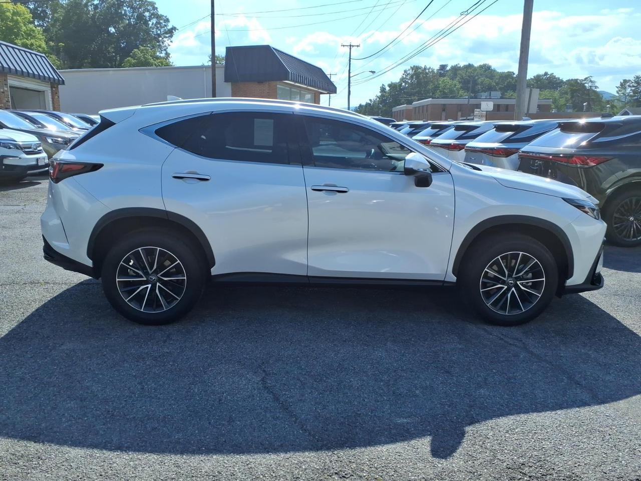 2024 Lexus NX 350h Base