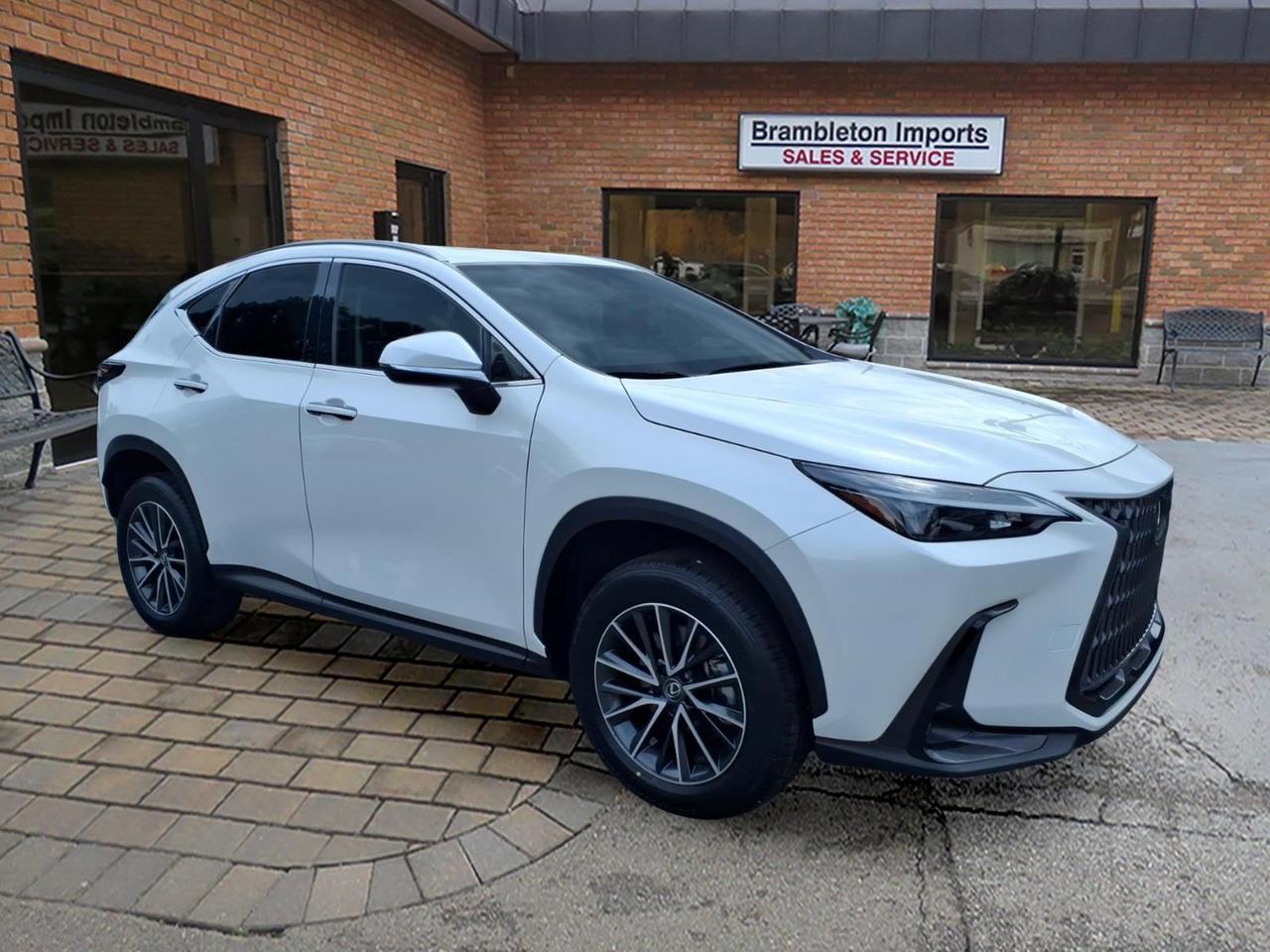 2024 Lexus NX 350h 350h AWD's photo