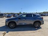 2024 Lexus NX 350h Luxury Oshkosh WI