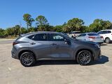 2024 Lexus NX 350h Luxury Oshkosh WI