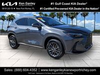 2024 Lexus NX 350h Luxury