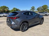 2024 Lexus NX 350h Luxury Oshkosh WI
