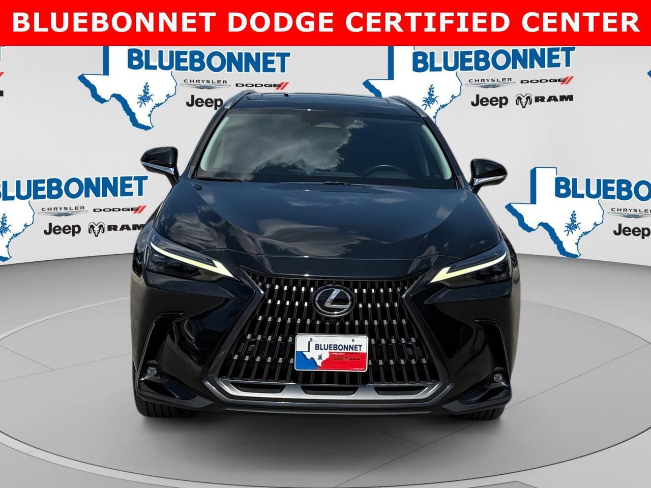 2024 Lexus NX 350h Luxury