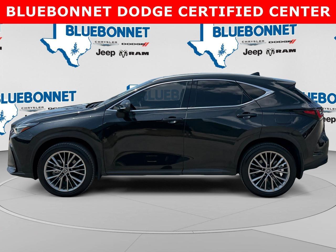 2024 Lexus NX 350h Luxury New Braunfels TX
